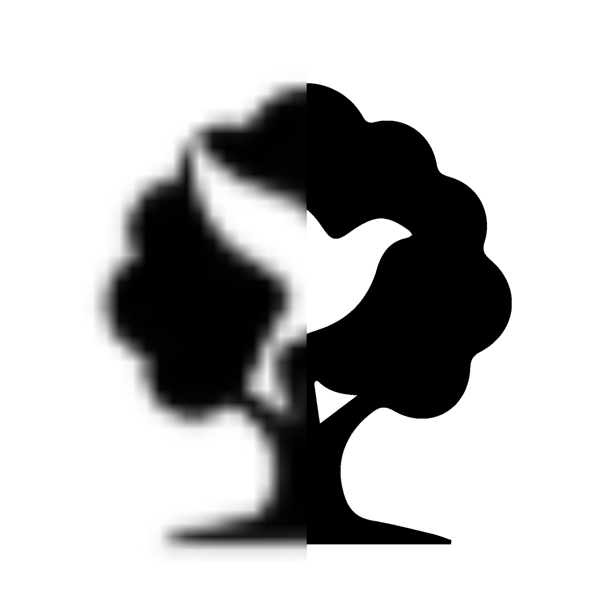 Vector Pro (Optimización de Logo & Diseño)