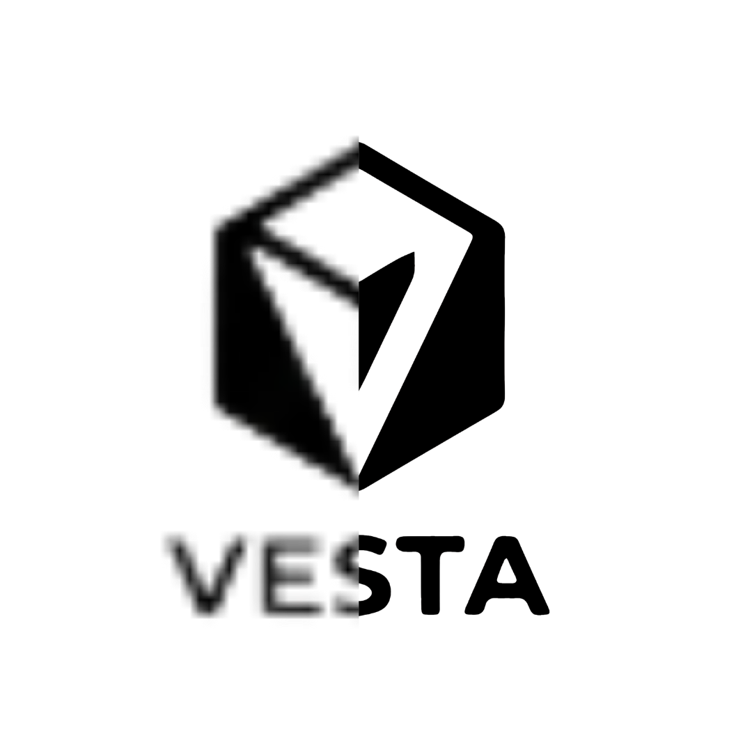 Vector Pro - Optimización de Logo & Diseño
