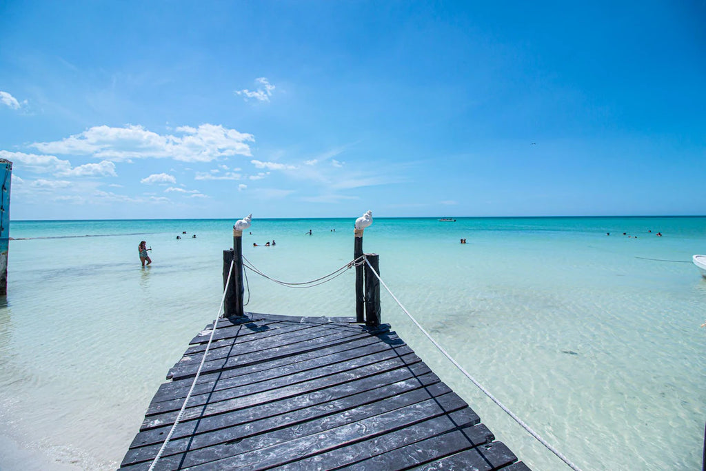 Holbox Dream: Isla, Arena y Bioluminiscencia