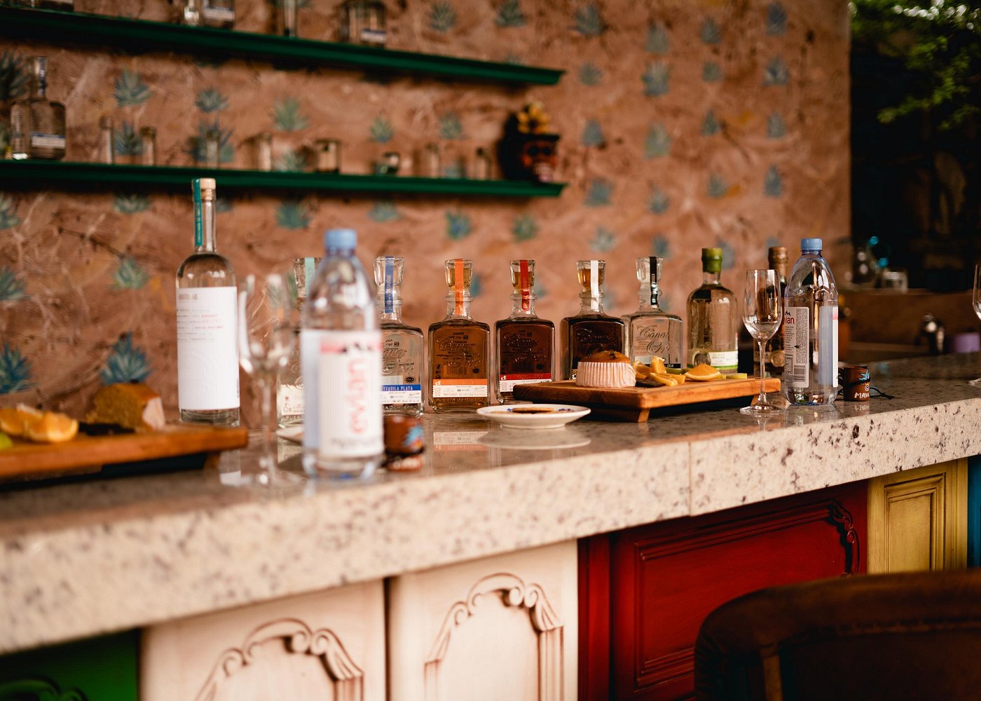 VIP Tequila Experience: Transporte de Lujo y Destilería Premium | The Summit